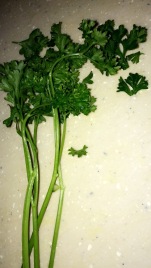 Chop the cilantro